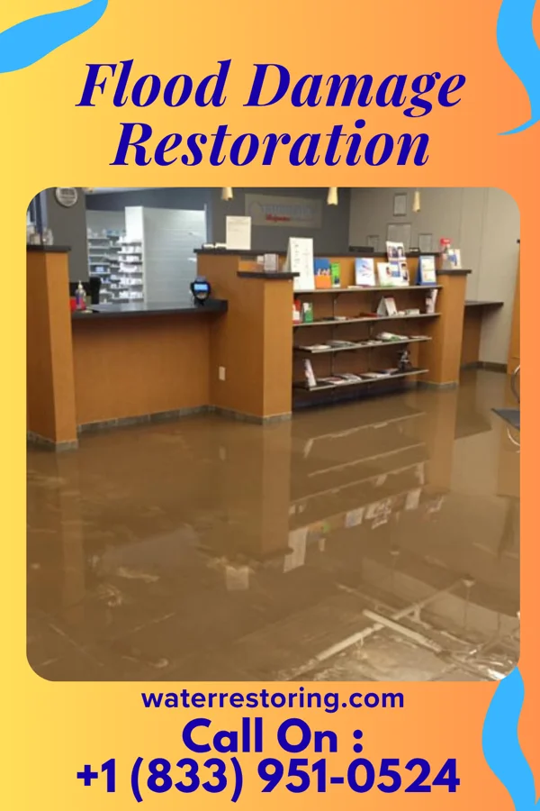 Flood Damage Restoration in Elgin, SC